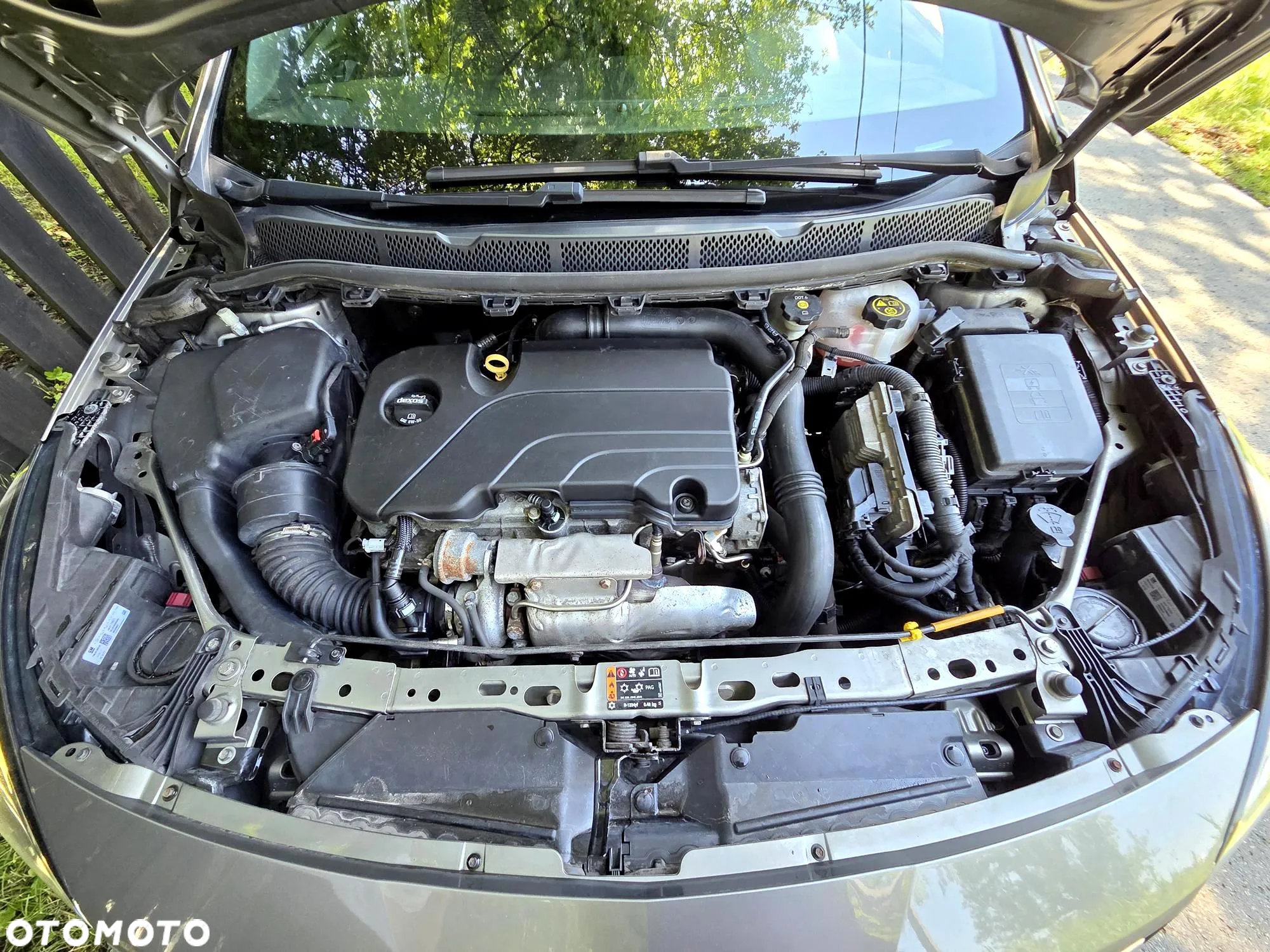 Opel Astra V 1.4 T Elite - 38