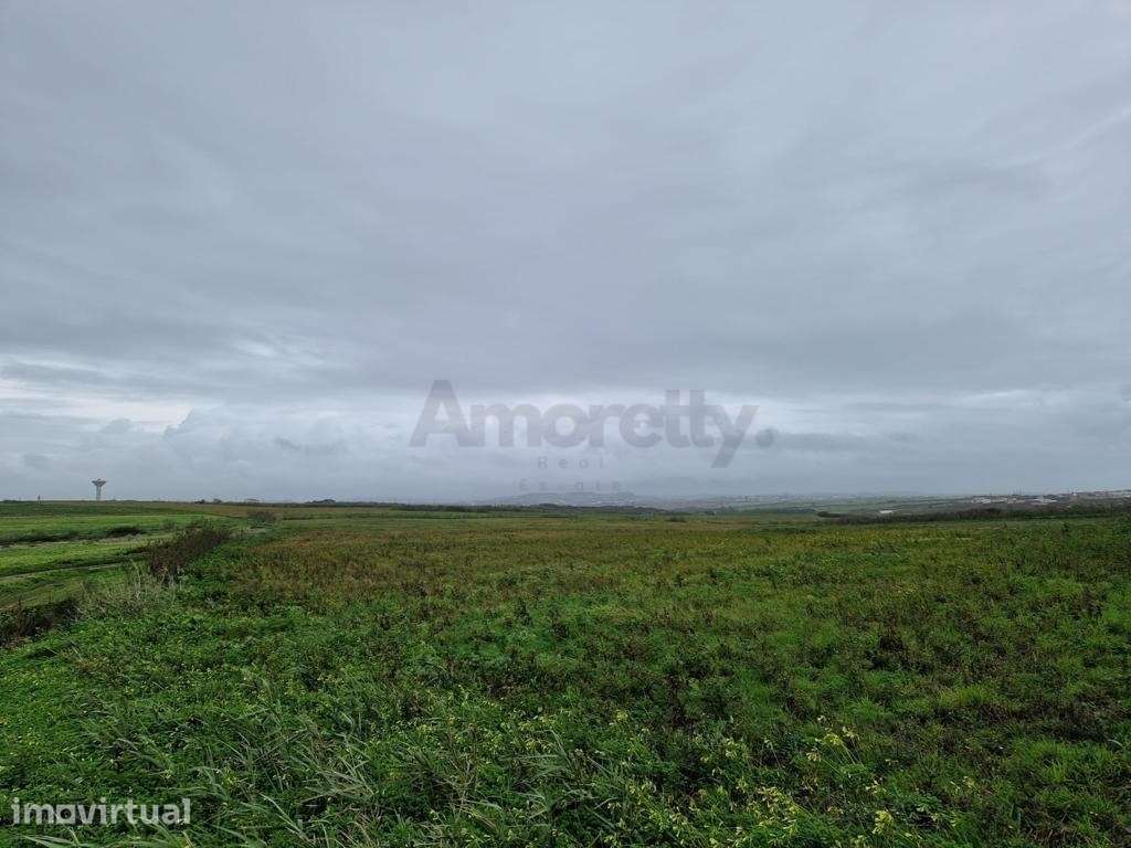 Terreno Para Agricultura em Torres Vedras - Grande imagem: 5/10