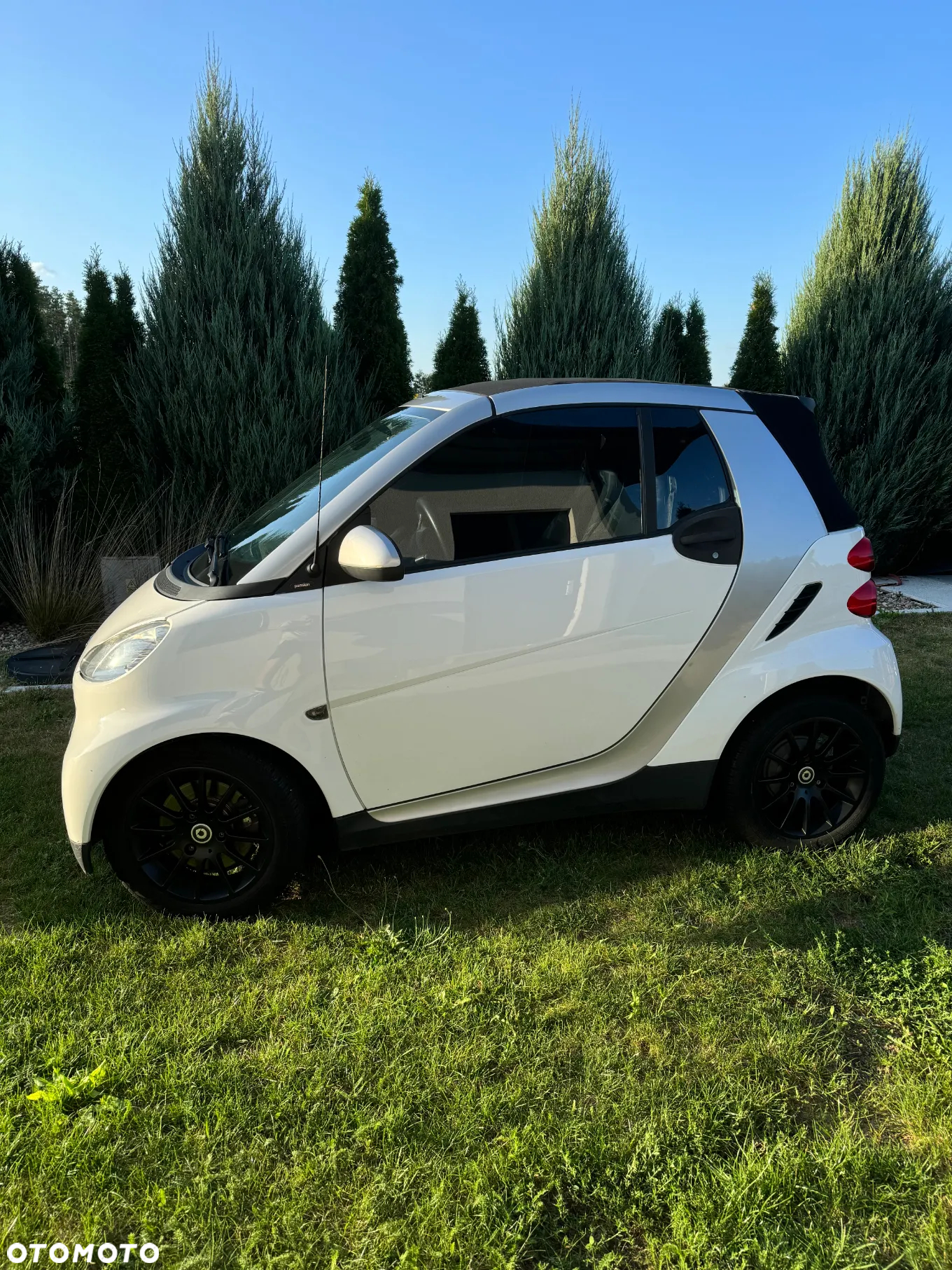 Smart Fortwo & passion - 4