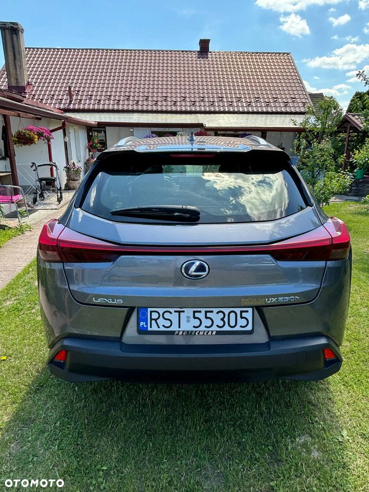 Lexus UX 250h GPF Business Edition 2WD - 4