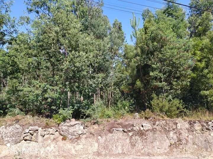 Terreno em Carregosa, Oliveira de Azeméis - Grande imagem: 3/6