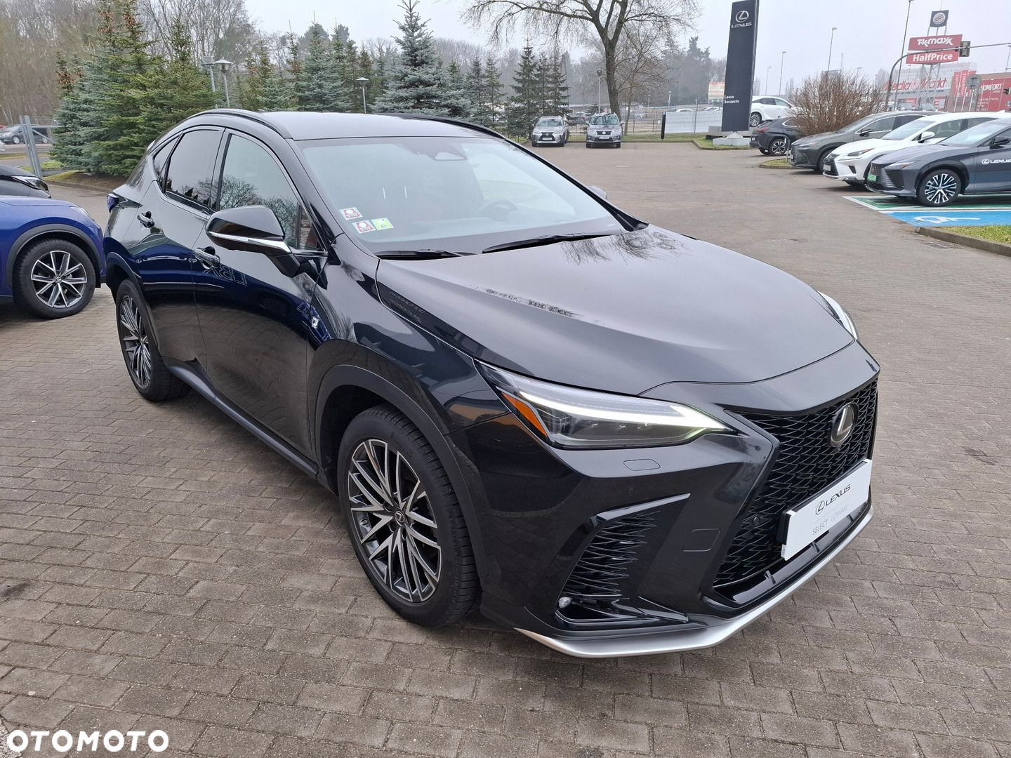 Lexus NX - 7