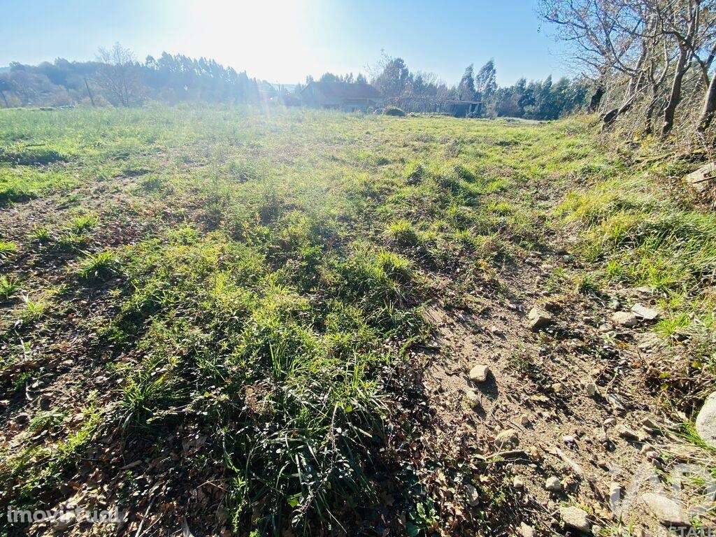 Terreno Agrícola em Sopo de 260,00 m2 - Grande imagem: 3/17