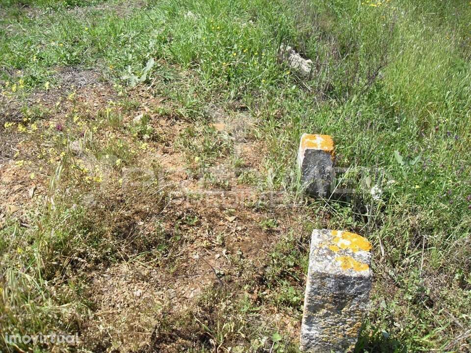 S. BARTOLOMEU DE MESSINES. Terrenos misto para agircultura e habitação - Grande imagem: 2/16