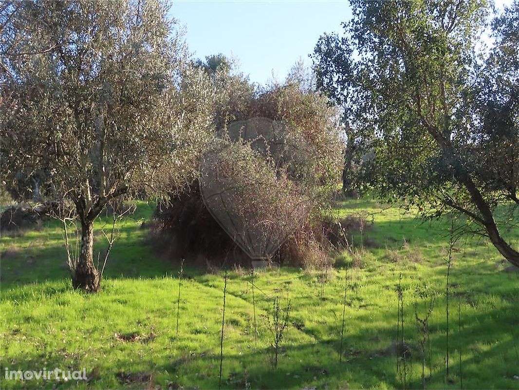 Quinta  para venda - Grande imagem: 2/17