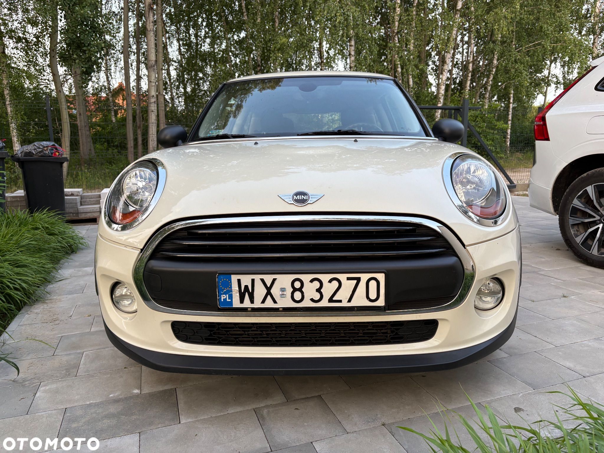 MINI ONE Standard - 1