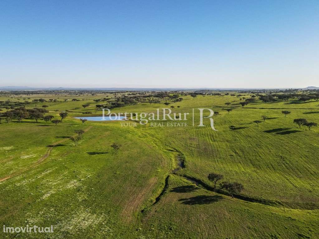Herdade 363 hectares para Agropecuária e Painéis Fotovoltaicos - Grande imagem: 4/18
