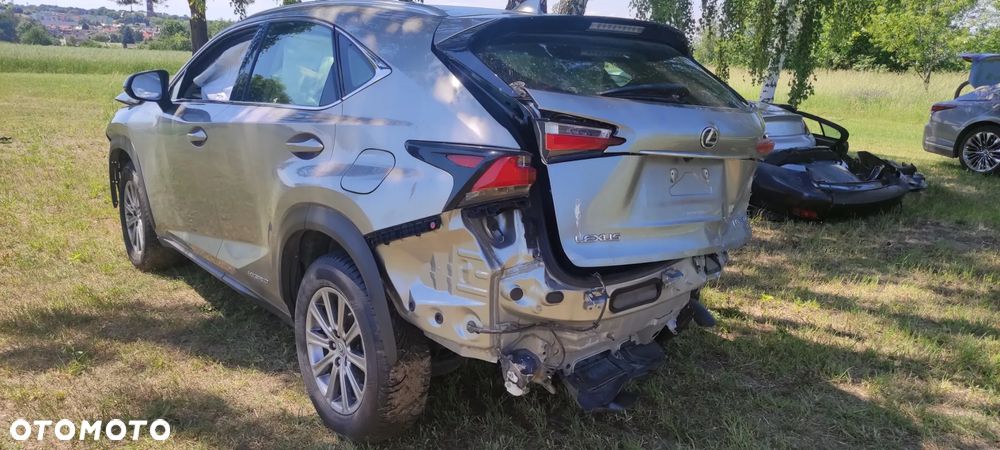 Lexus NX 300 AWD Luxury Line - 6