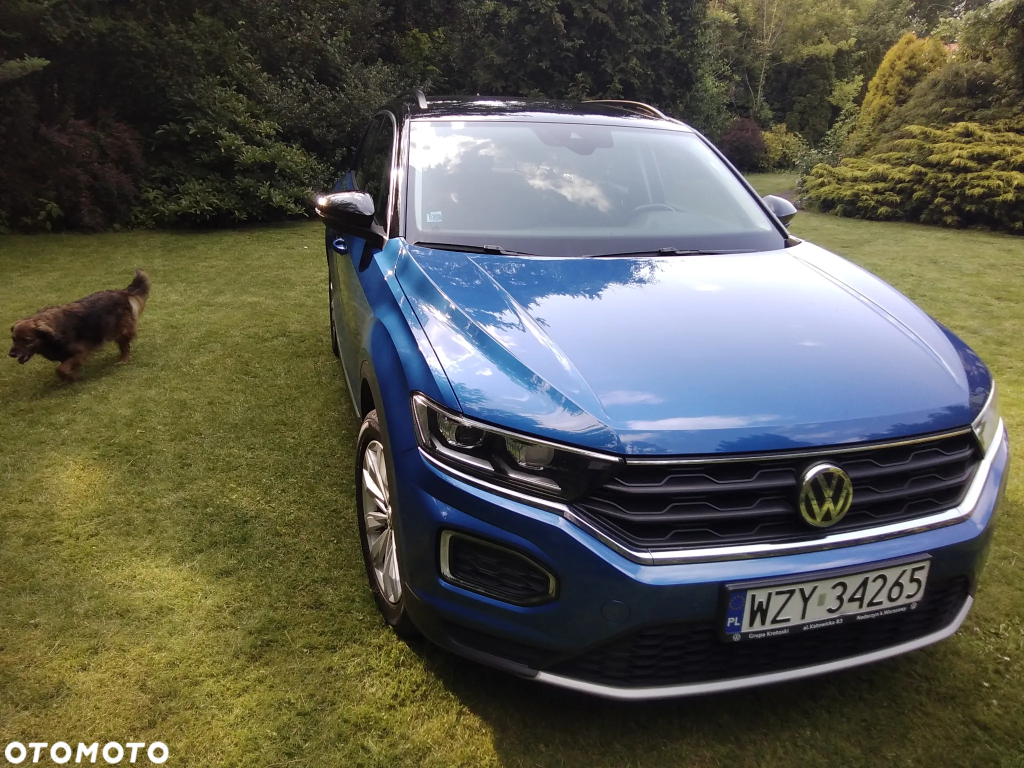 Volkswagen T-Roc 1.0 TSI Advance - 18