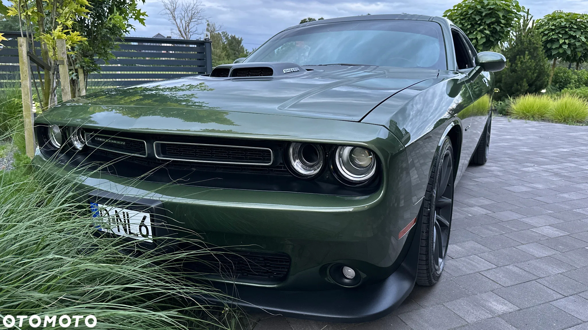 Dodge Challenger Automatik R/T Plus Shaker - 24