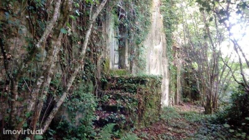 Quinta da Póvoa da Medronhosa, Repeses e São Salvador, Viseu - Grande imagem: 5/11