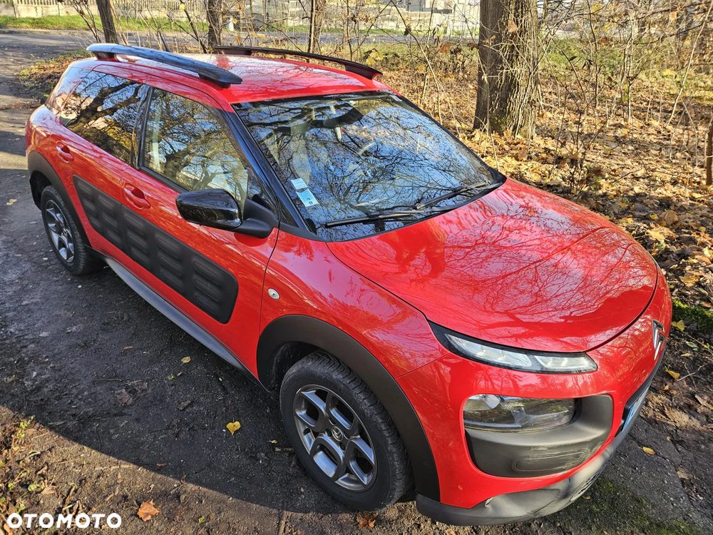 Citroën C4 Cactus PureTech 82 Business Class - 12
