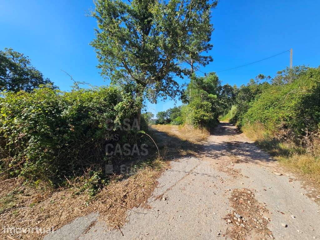 Vende Terreno - Ericeira 30 km, A Casa das Casas - Grande imagem: 3/15