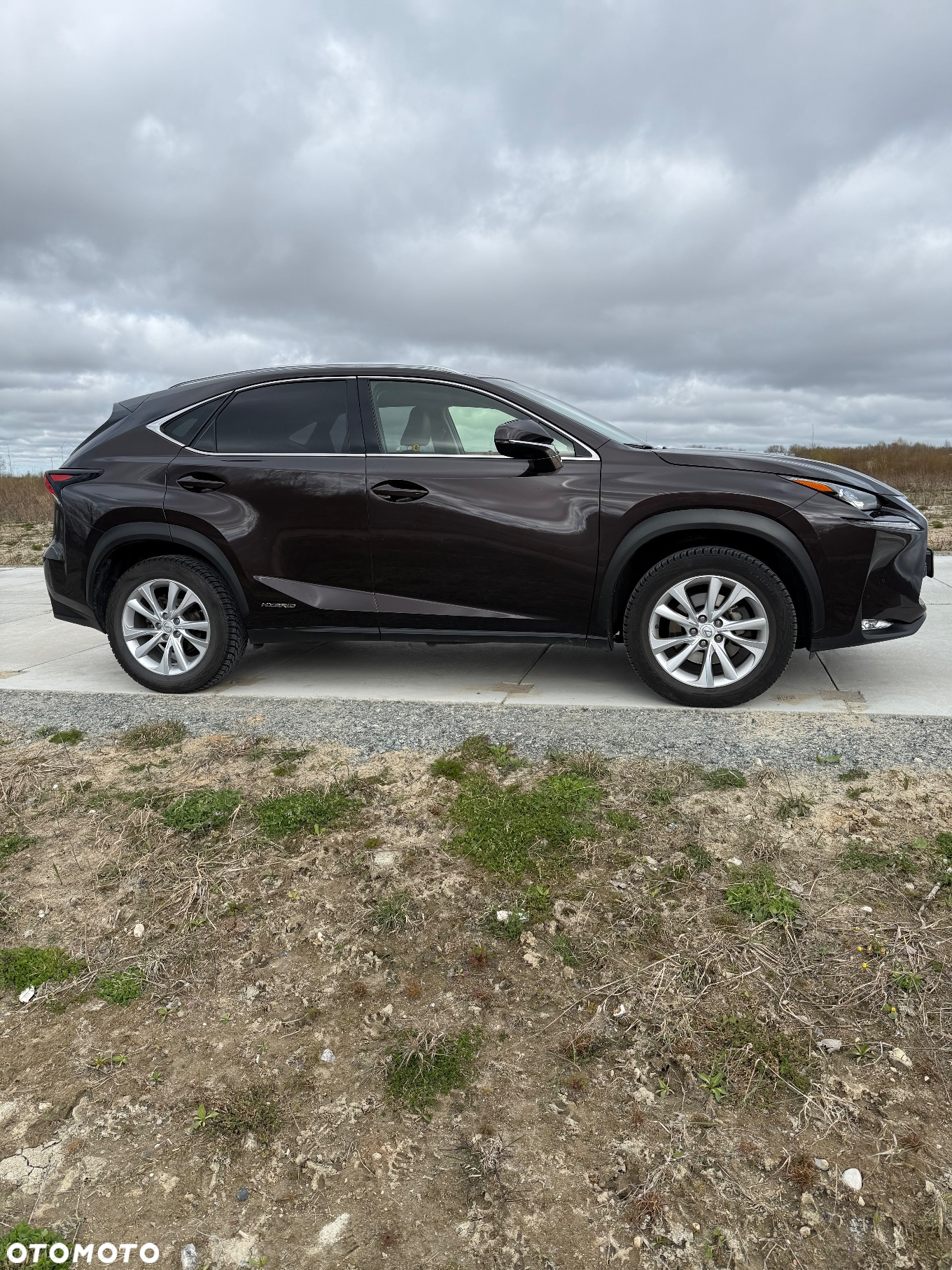 Lexus NX - 8