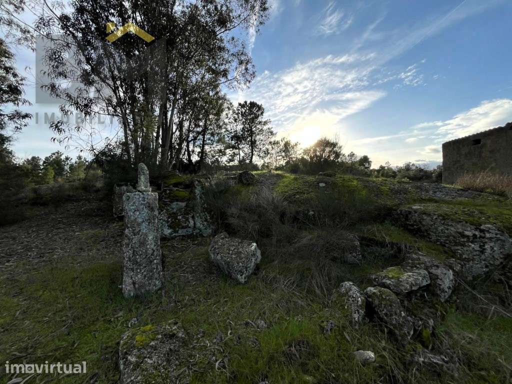 Terreno rústico, com 6280m2, para venda em Juncal do Campo! - Grande imagem: 5/15