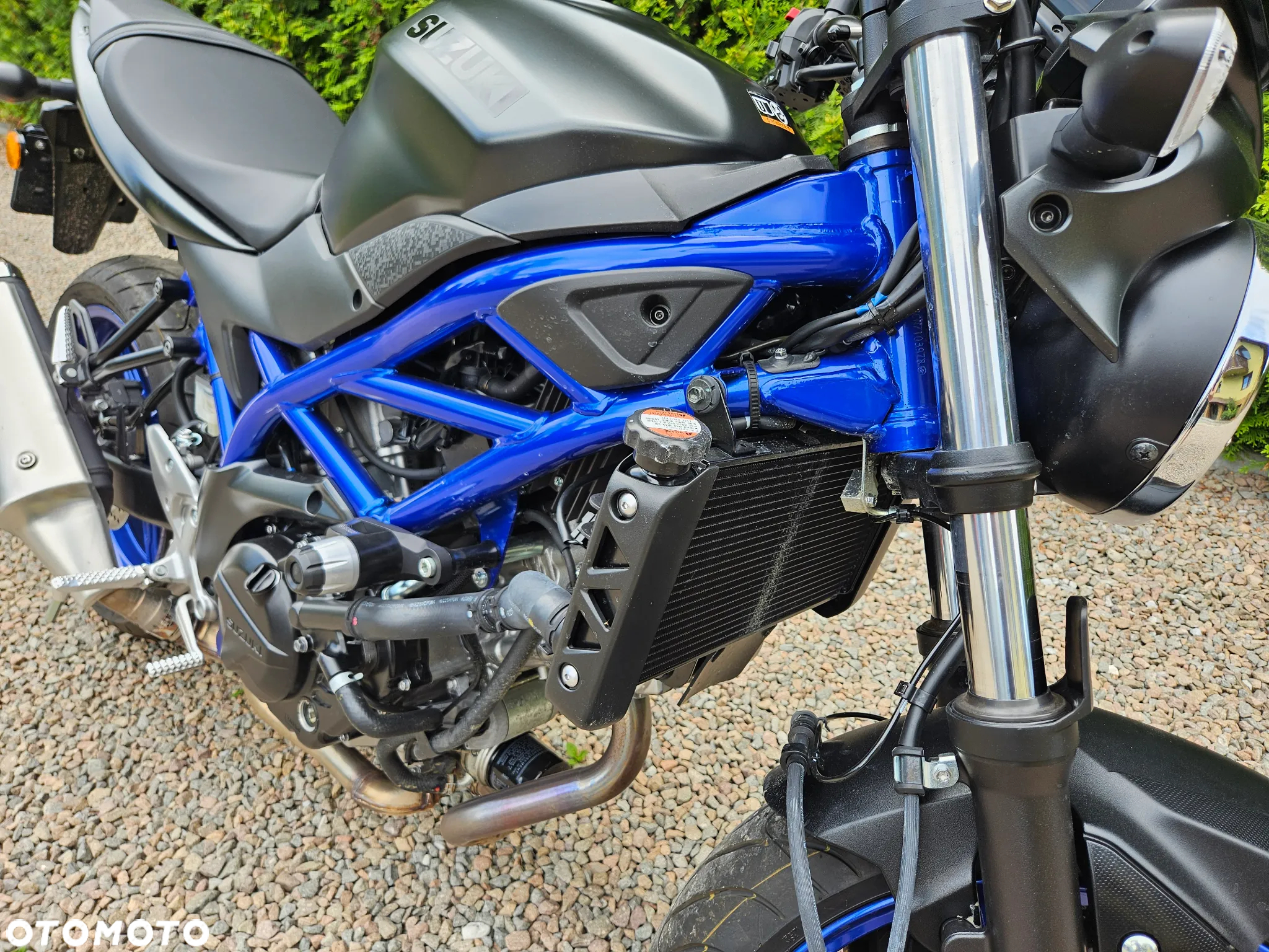 Suzuki SV - 12