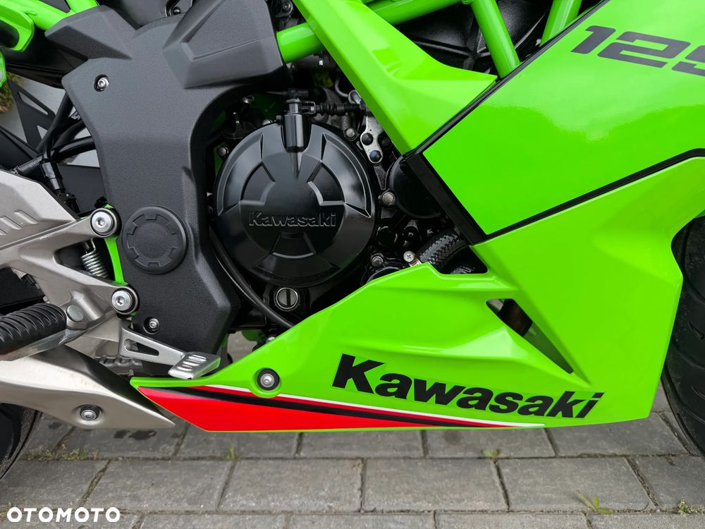 Kawasaki Ninja - 19