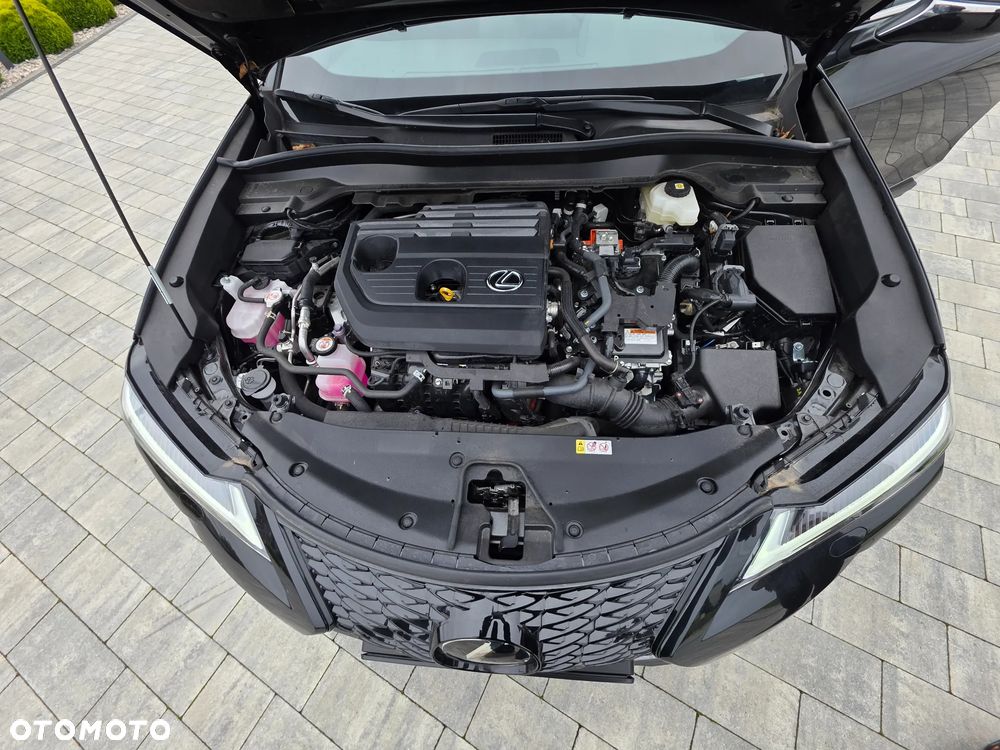 Lexus UX 2025