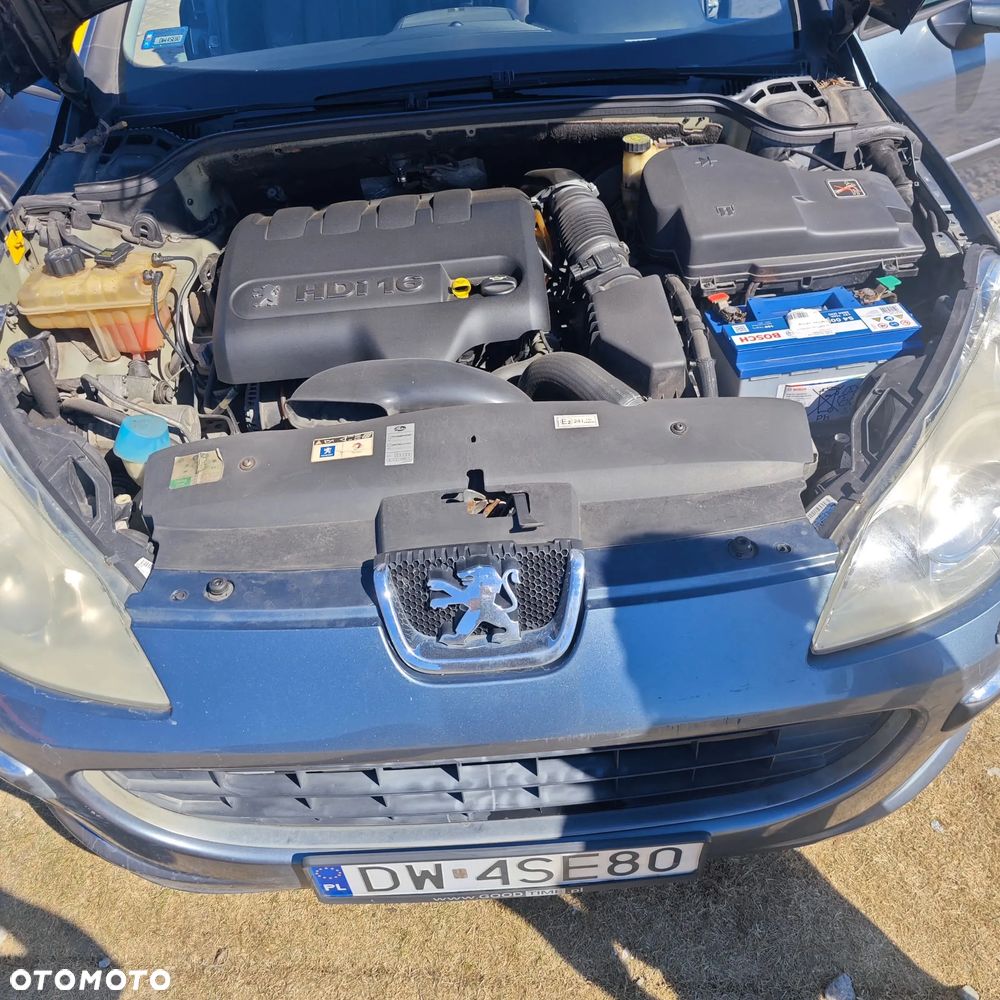 Peugeot 407 2.0 HDI Platinum - 29