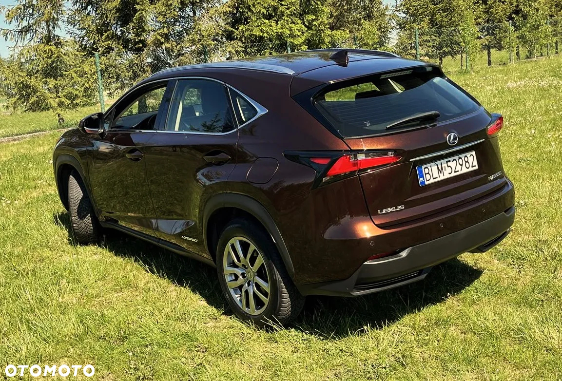 Lexus NX - 2