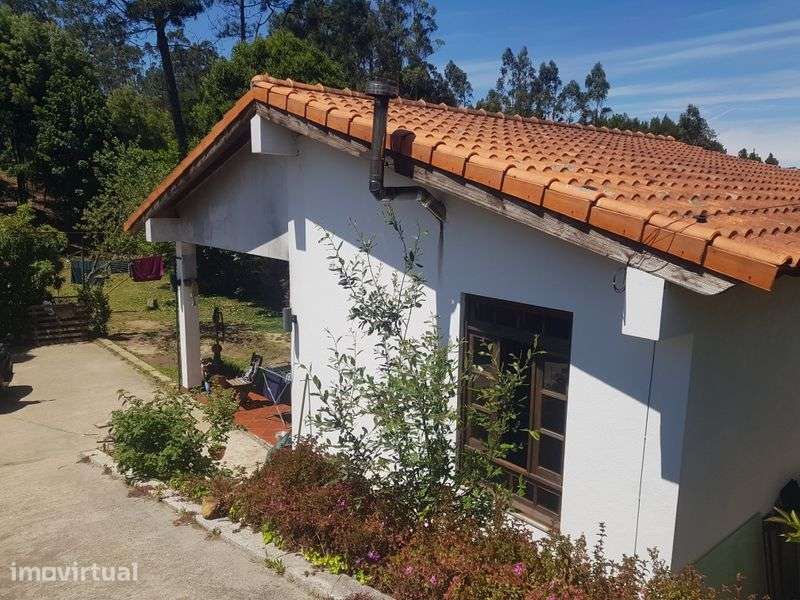 Estudio em espinho - Grande imagem: 2/9
