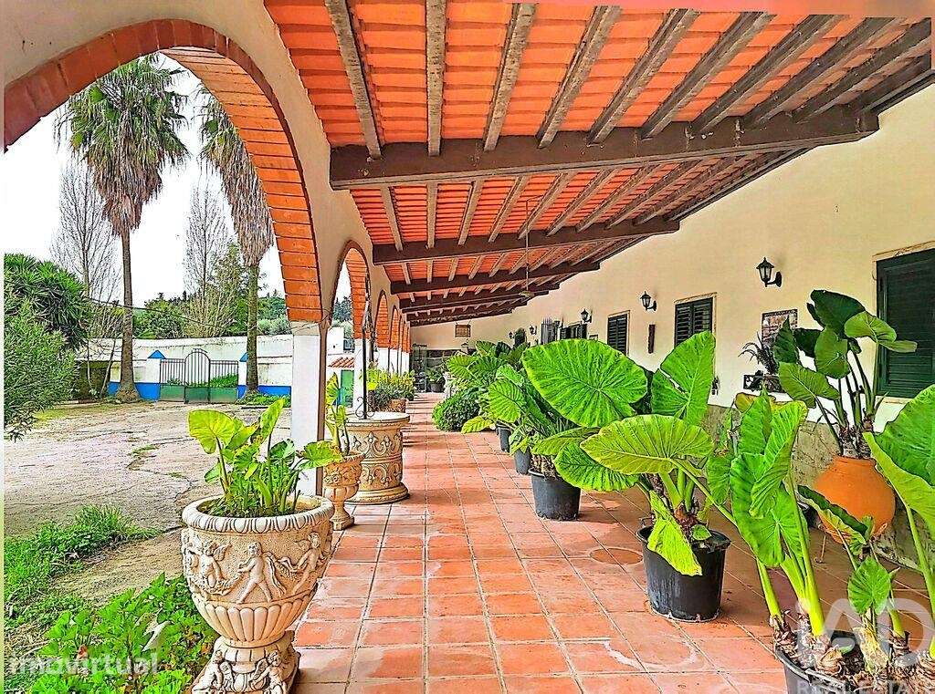 Quinta rural T3 em Nossa Senhora da Conceição e São Bartolomeu de 210, - Grande imagem: 4/39