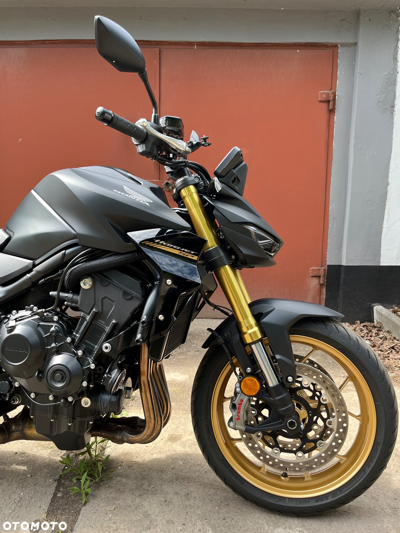 Honda Hornet - 5