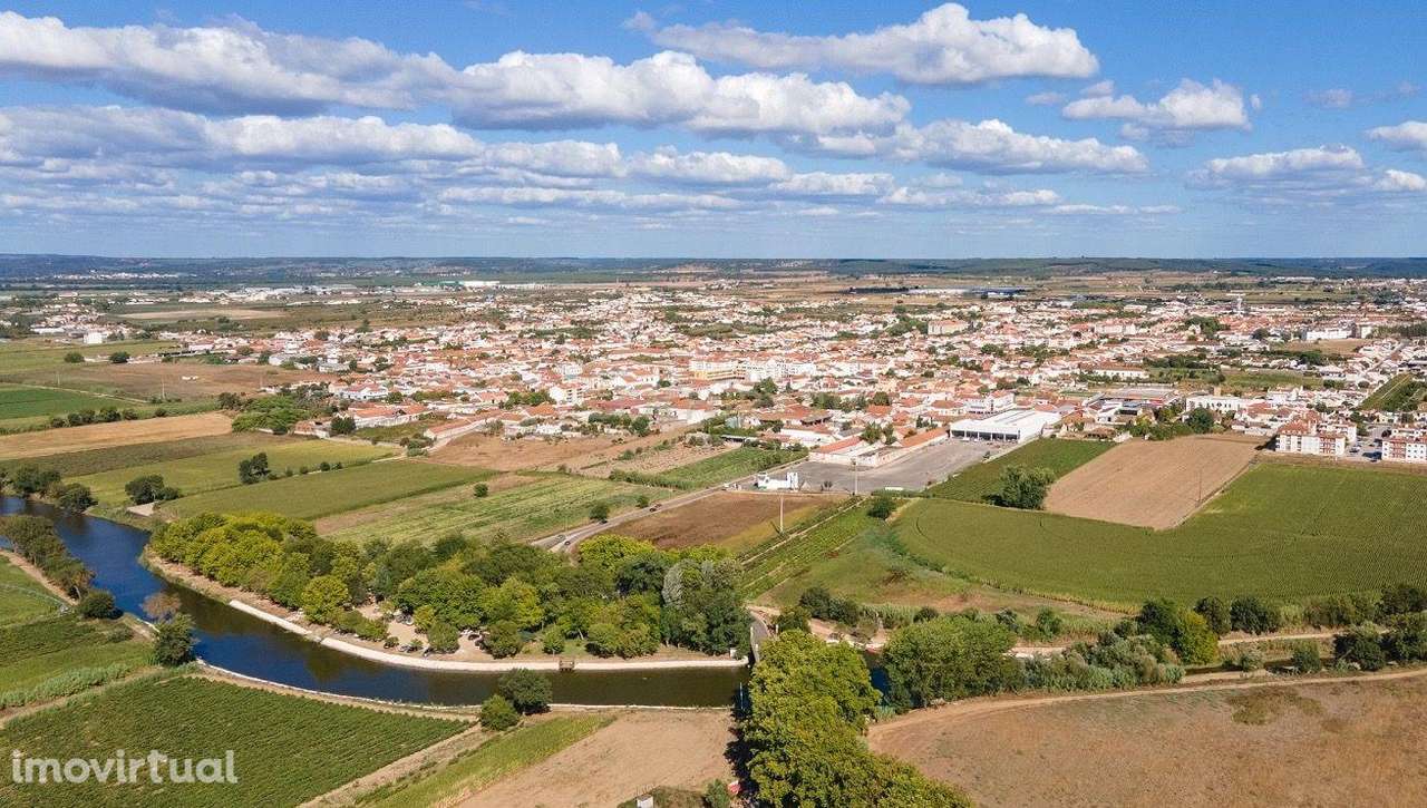 Terreno Rustico com viabilidade de Construção - Alpiarça - Grande imagem: 3/9