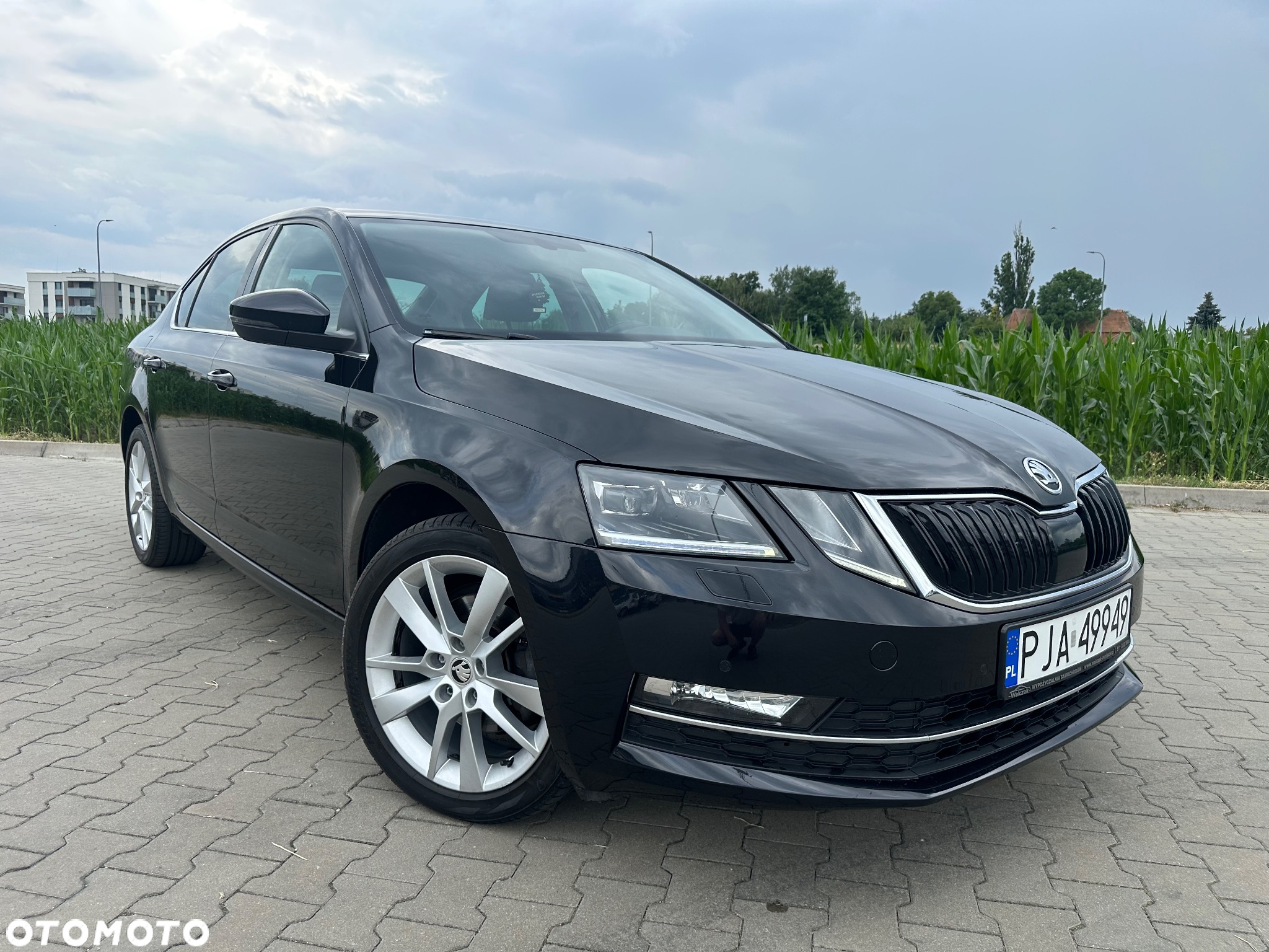 Skoda Octavia - 3