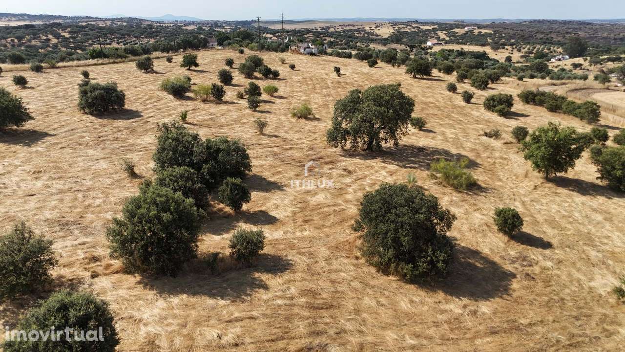 Oportunidade Única no Coração do Alentejo - Monte com Ruína Próximo da - Grande imagem: 4/11