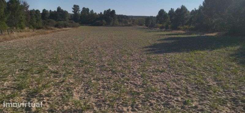 Terreno agricola - Grande imagem: 4/8
