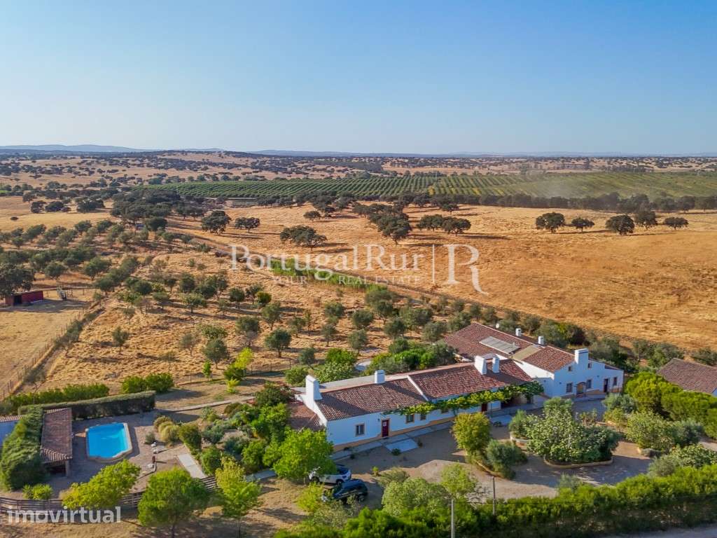 Monte de 4,8 hectares com Moradia T11 para Turismo Rural - Grande imagem: 2/56