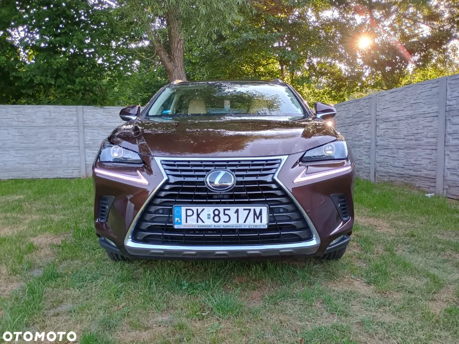Lexus NX 300h Elegance AWD - 25
