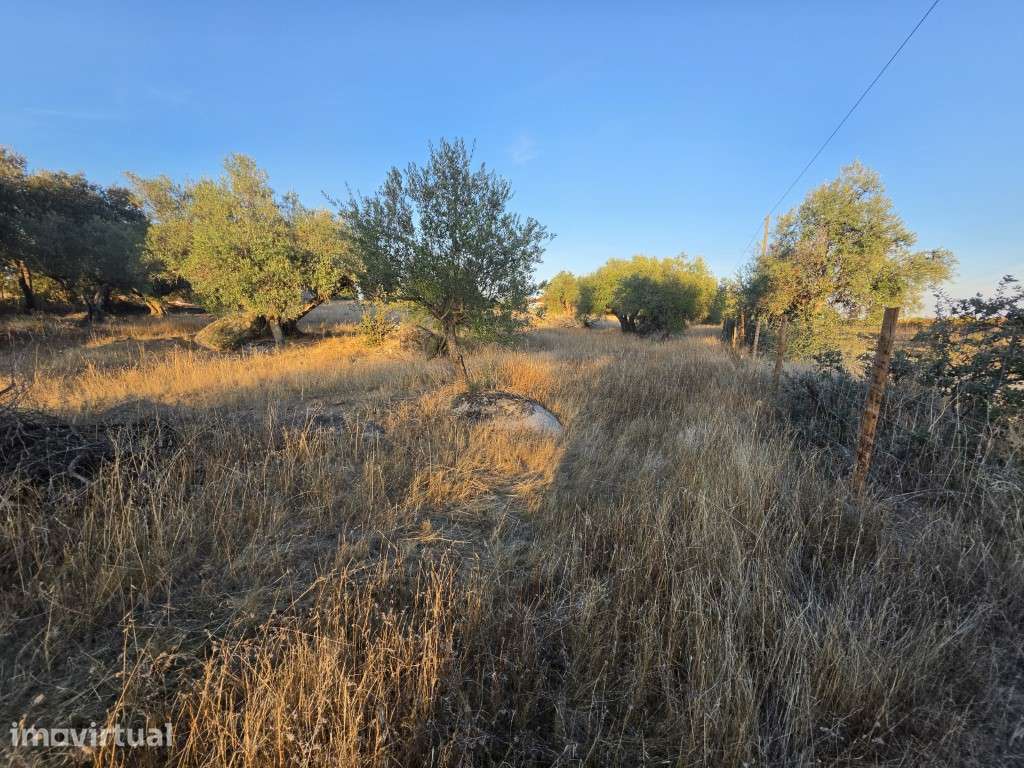 Terreno no Corval com Potencial para Turismo Rural | Possibilidade ... - Grande imagem: 4/14