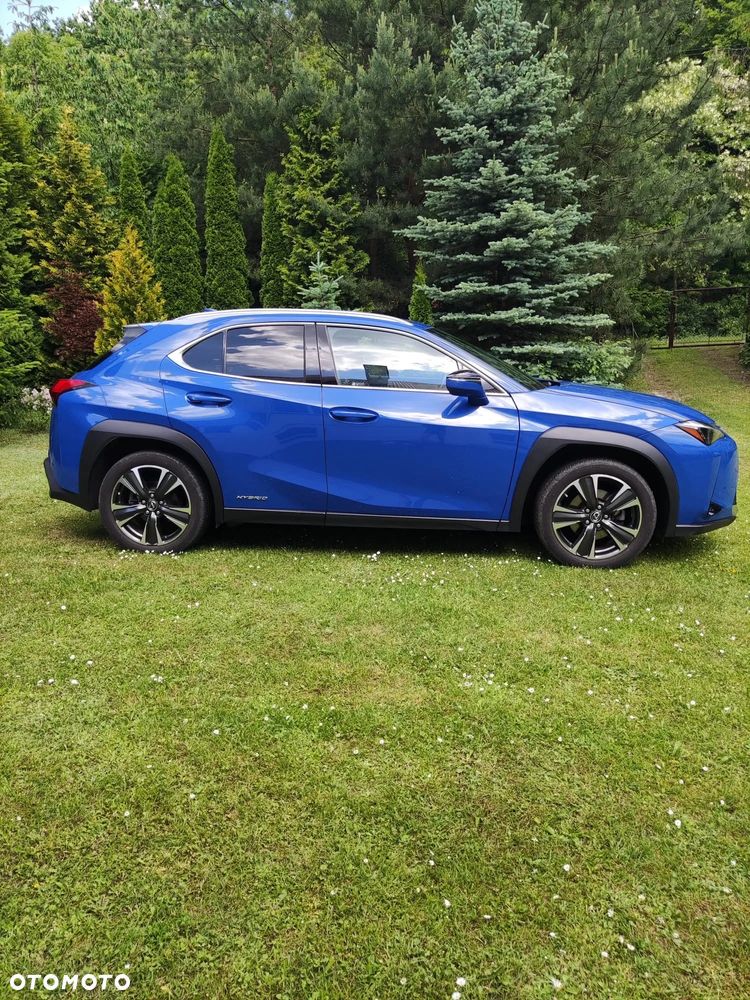 Lexus UX 250h GPF Omotenashi AWD - 6