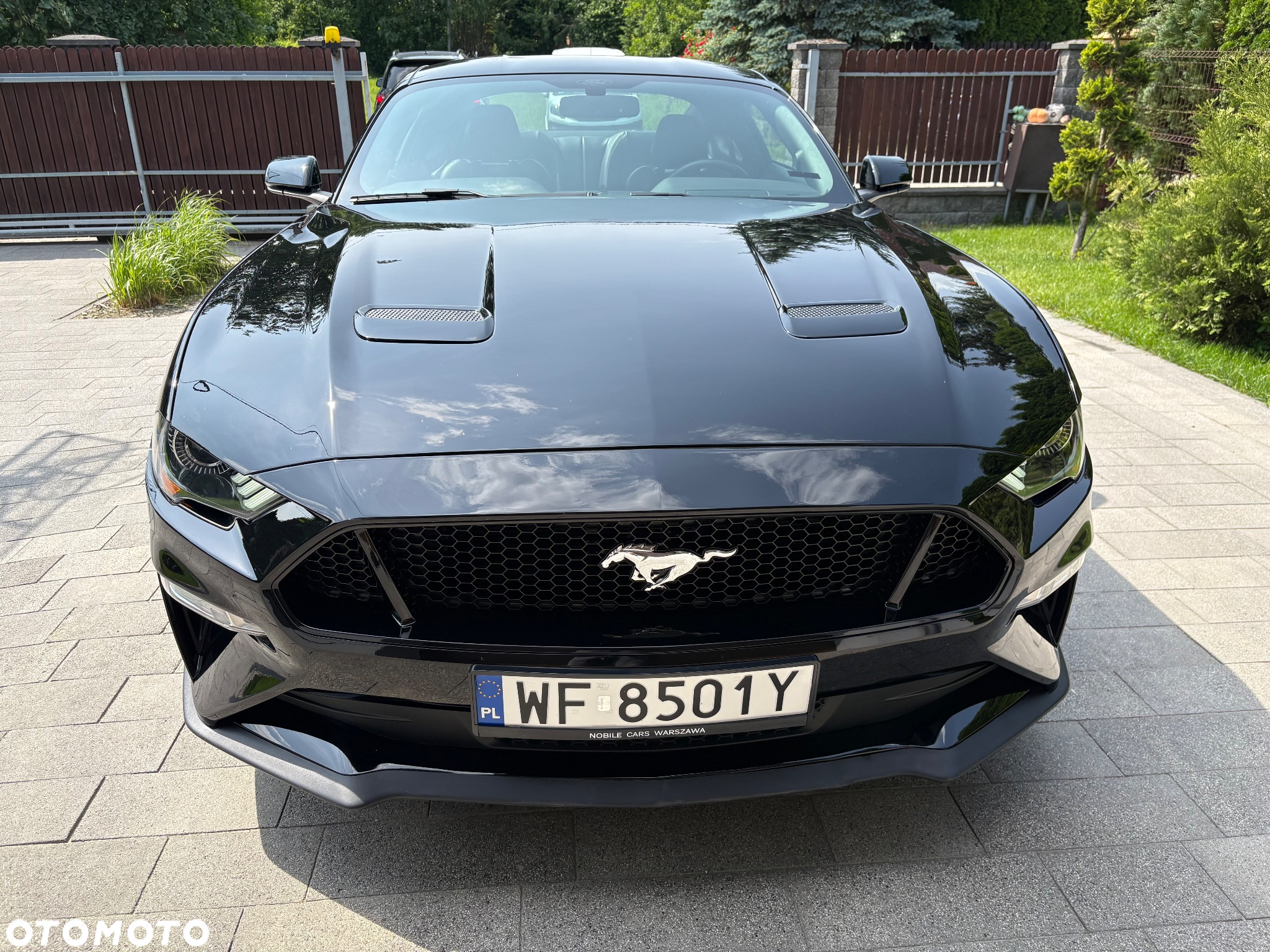 Ford Mustang Fastback 5.0 Ti-VCT V8 MACH1 - 10