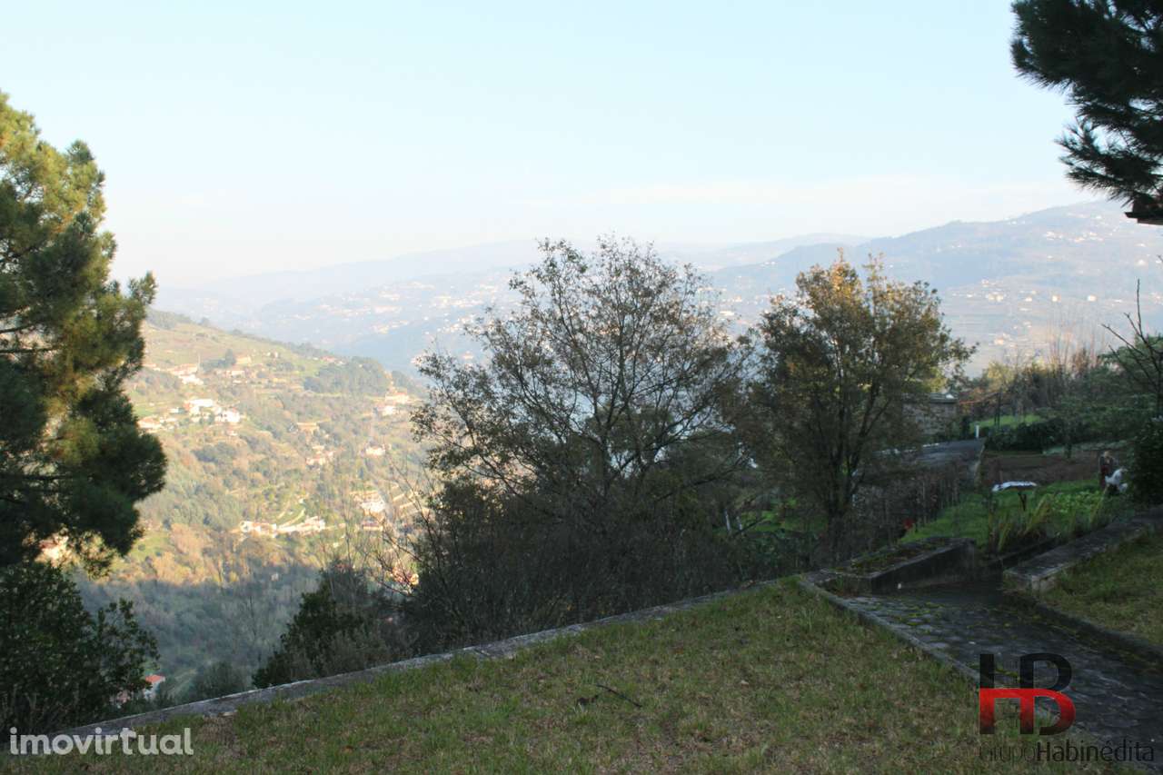 Quintinha no Douro, Baião. - Grande imagem: 5/20