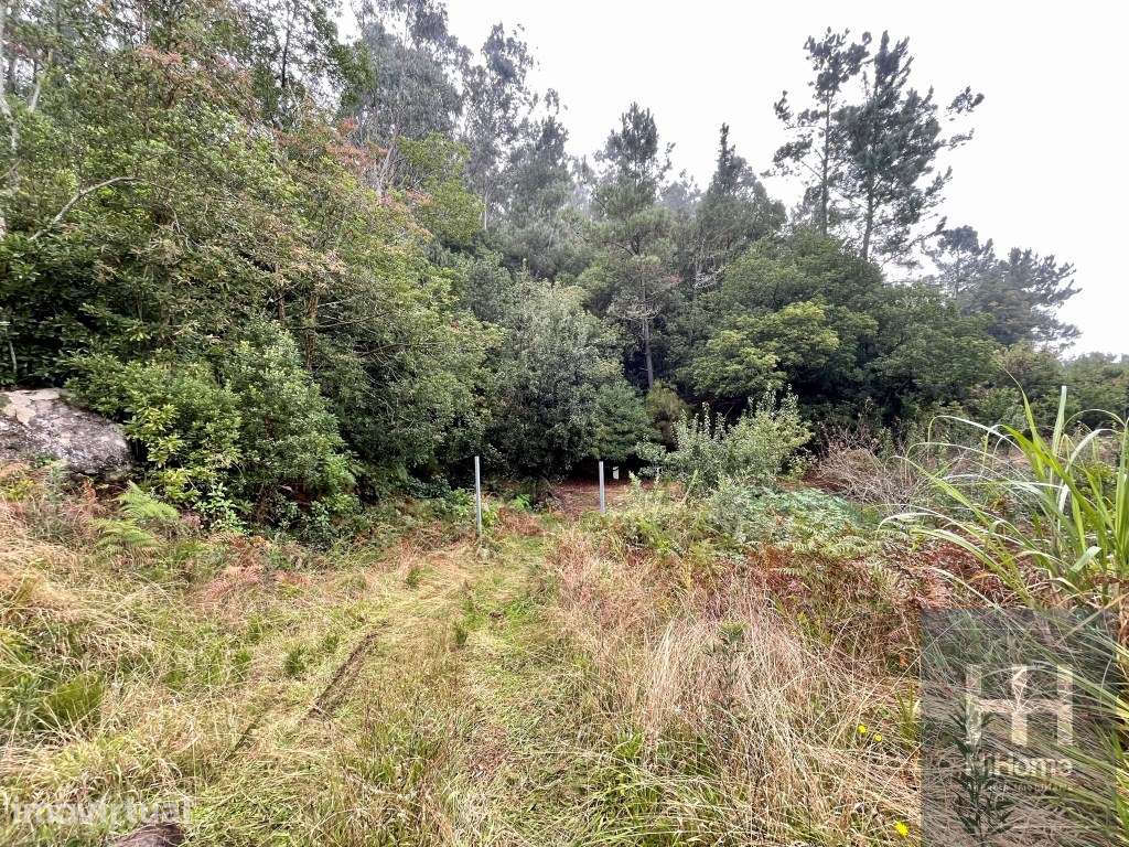 Terreno com Palheiro em São Vicente, Madeira - Grande imagem: 5/9