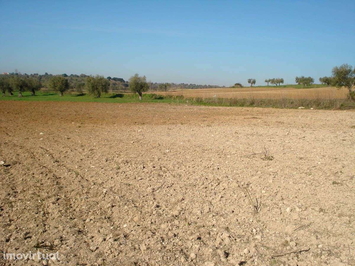 Terreno Rústico com 8680 m2 - Grande imagem: 5/17