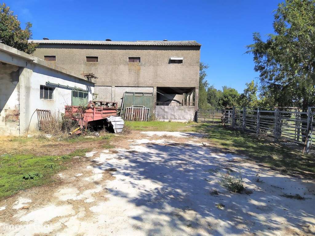 Quinta com moradia e terreno agrícola - Boidobra - Covilhã - Grande imagem: 4/51