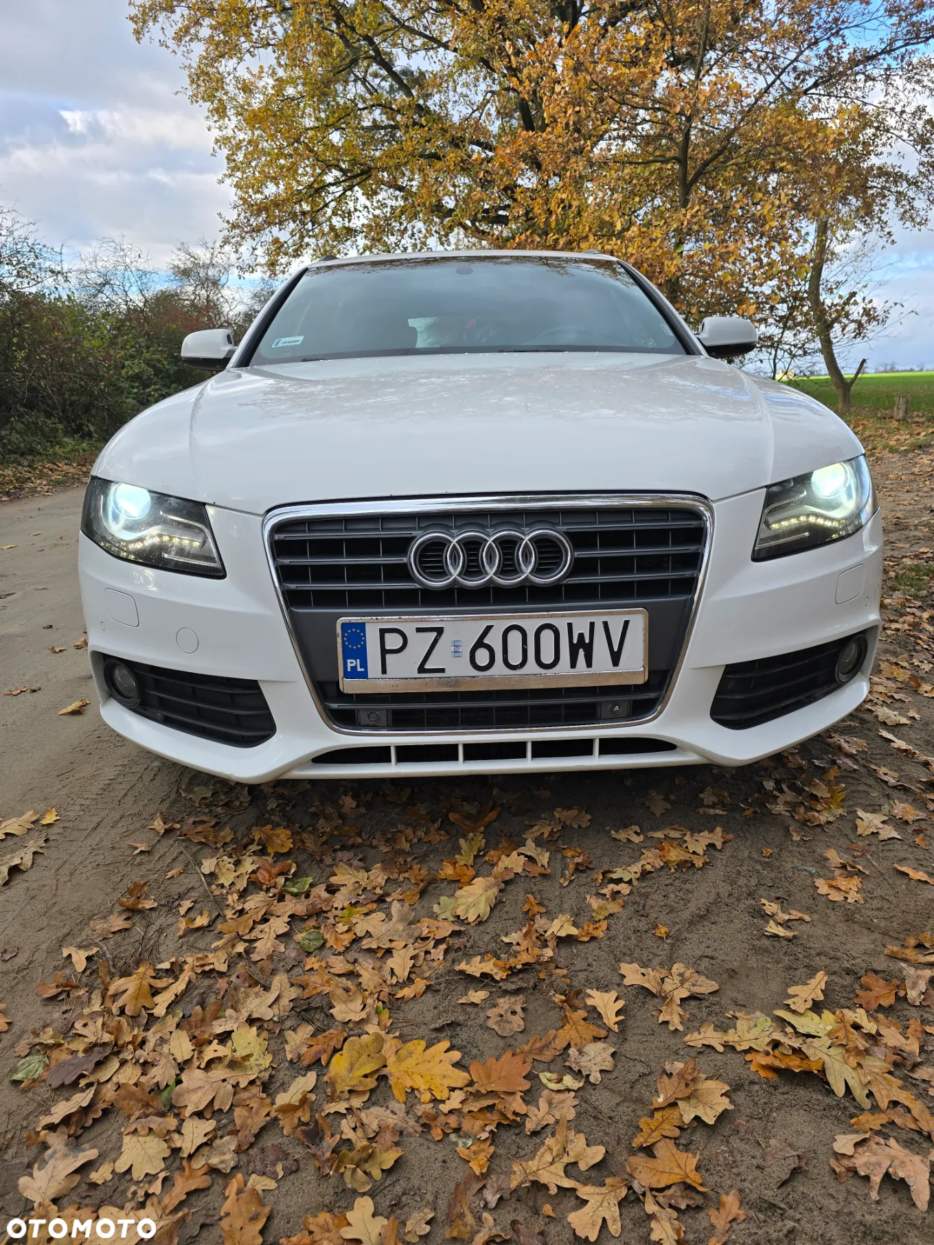 Audi A4 2.0 TDI Multitronic - 38