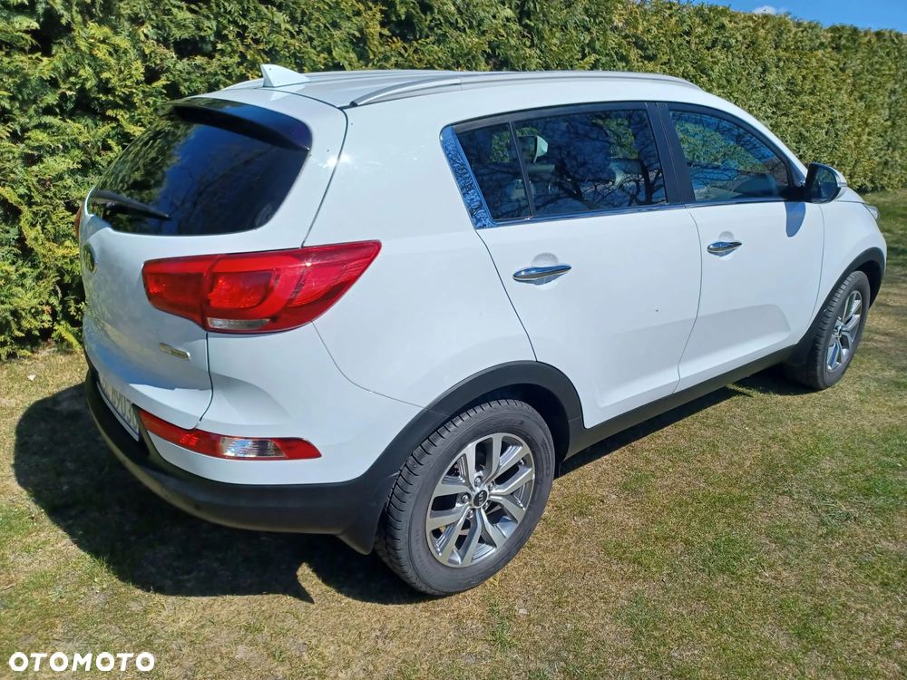 Kia Sportage 1.6 GDI L 2WD - 4