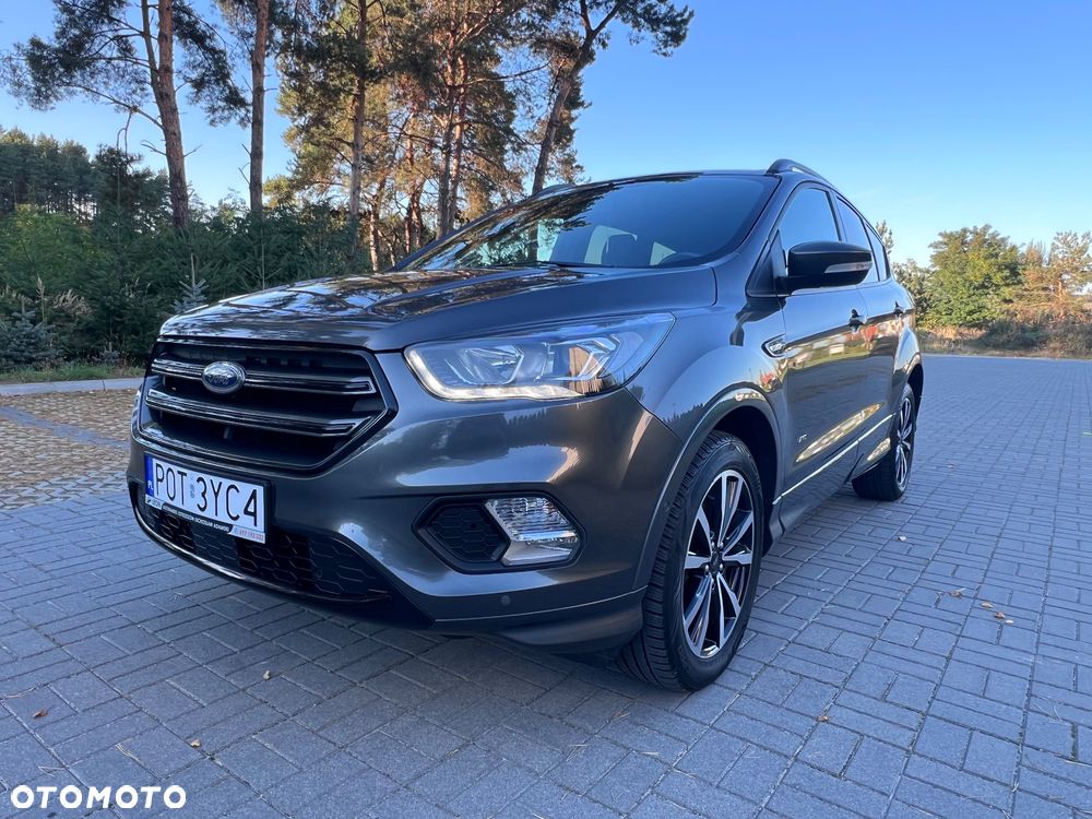 Ford Kuga 2019 photo 4