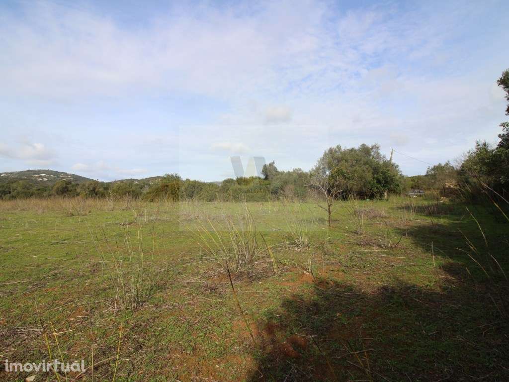 Excelente oportunidade de investimento no coração do Algarve! - Grande imagem: 4/7