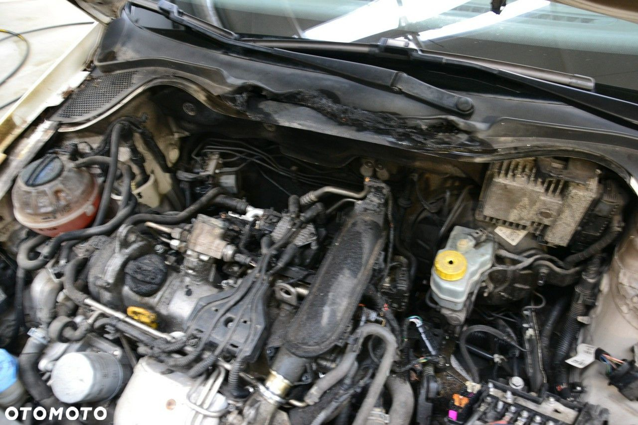 Volkswagen Polo - 11