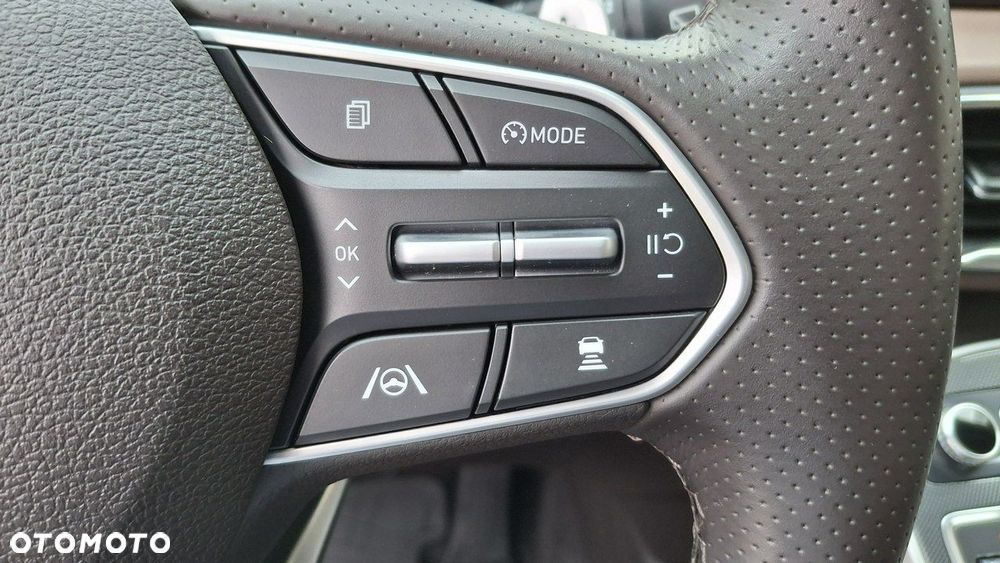 Hyundai Santa Fe 1.6 T-GDI PHEV Platinum 4WD - 38