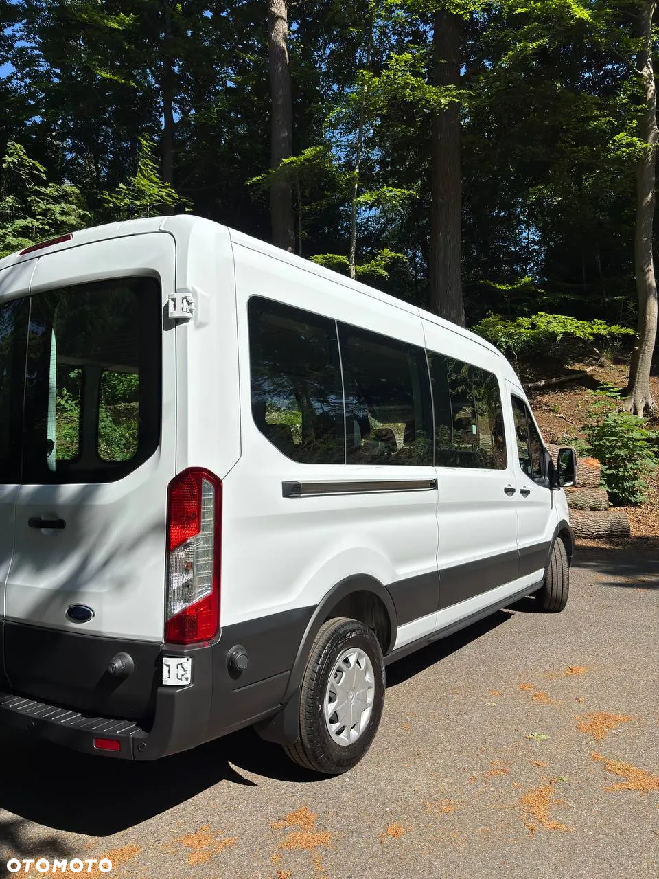 Ford Transit 350 Kombi M1 L3H3 Trend - 3