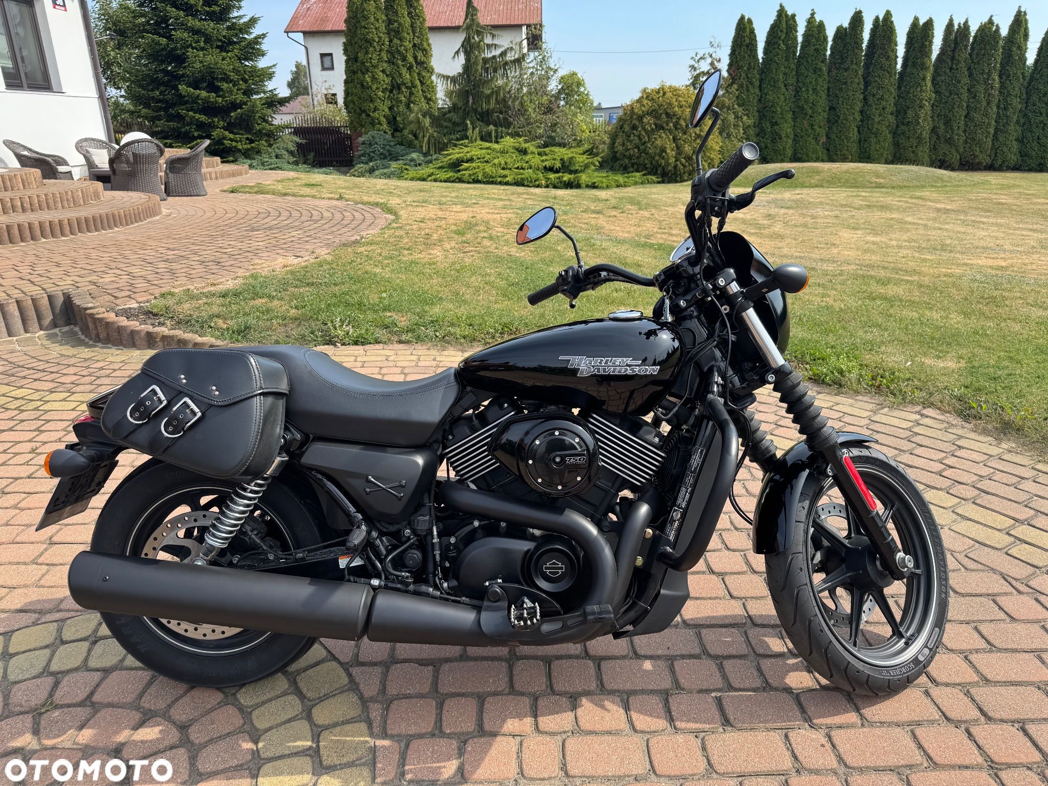 Harley-Davidson Street 750 - 1
