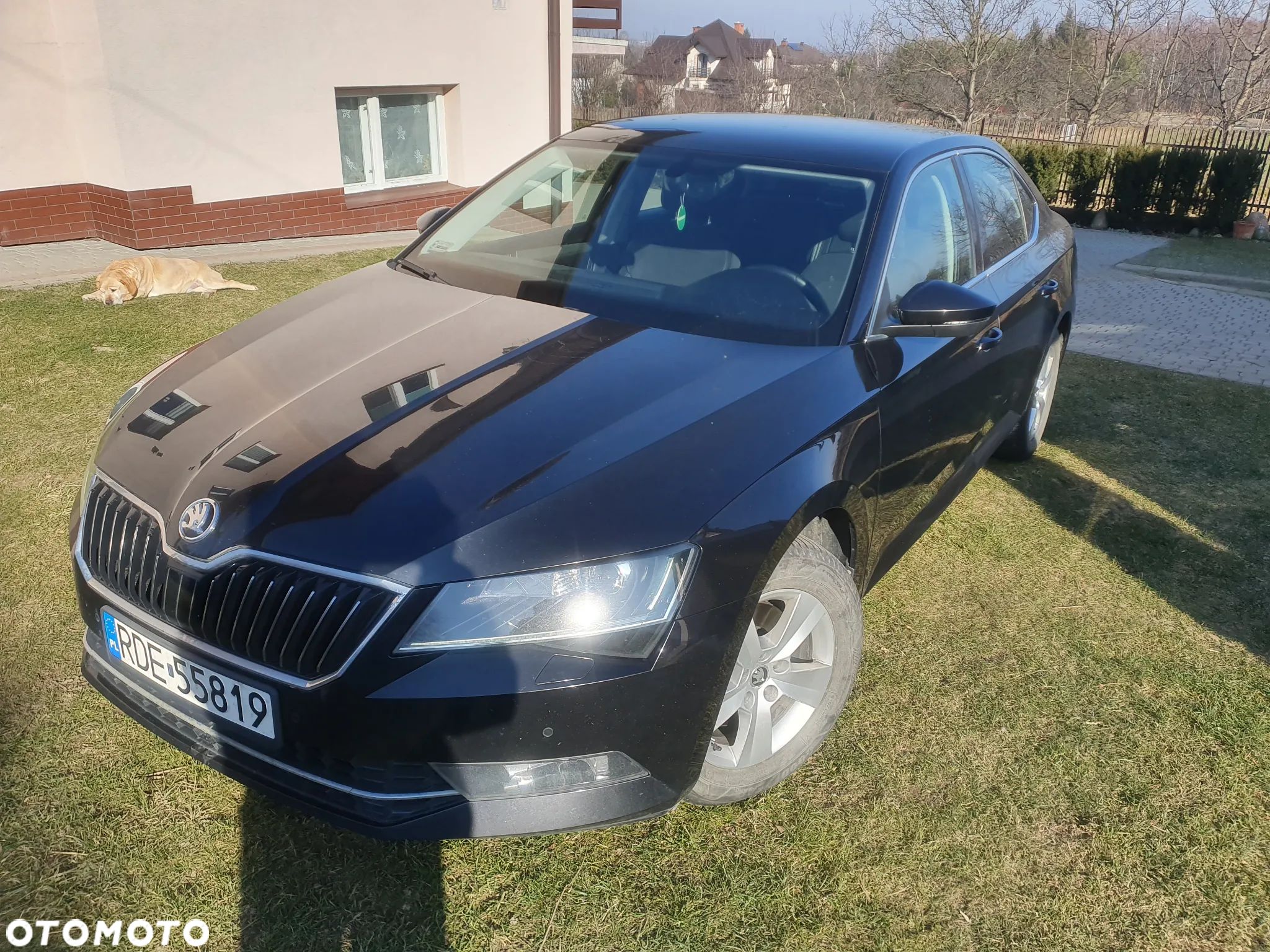 Skoda Superb 2.0 TDI Ambition DSG7 - 1