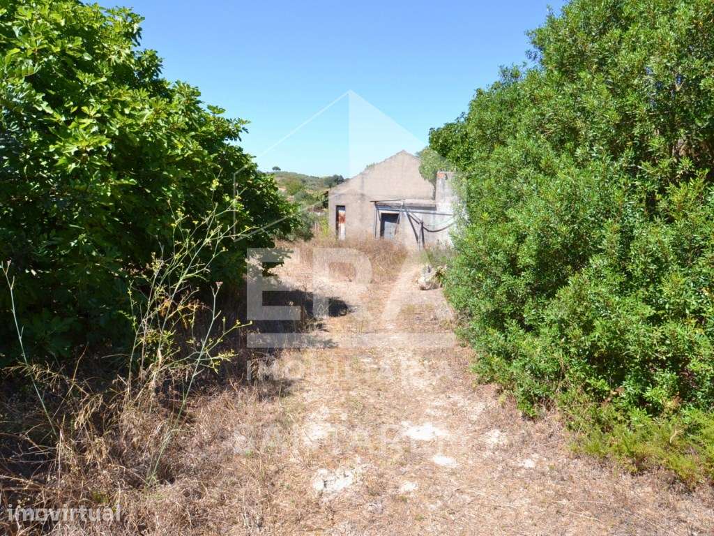Dois terrenos com uma área total de 8.000 m² - Grande imagem: 3/13